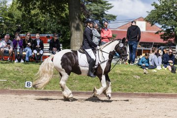 Bild 264 - Pony Akademie Turnier